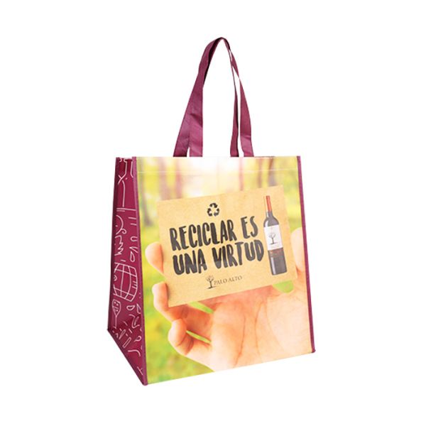 New Trend Non Woven Bag Factory Custom Eco Friendly Bag Waterproof Non-Woven Shoulder Strap Cool Picnic