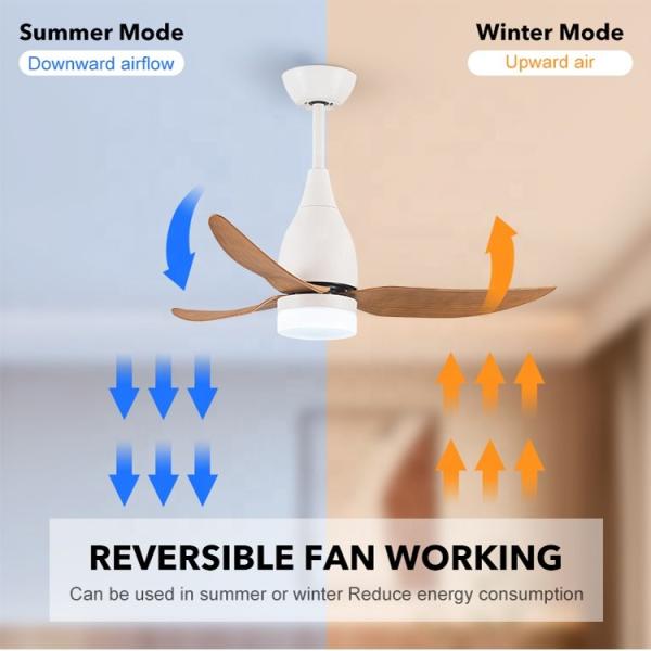 Ventilateur de plafond LED décoratif, ventilateur de plafond en courant continu avec lumière et télécommande