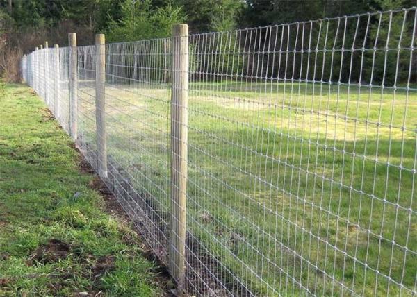 Animal Farm Rural 150mm Hinge Joint Fence galvanizado galvanizado a quente