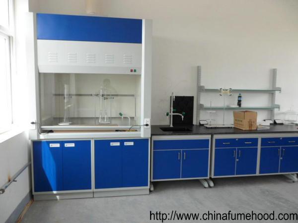 China Cheap Biosafety Fume Hood In Laboratory Ventilation System