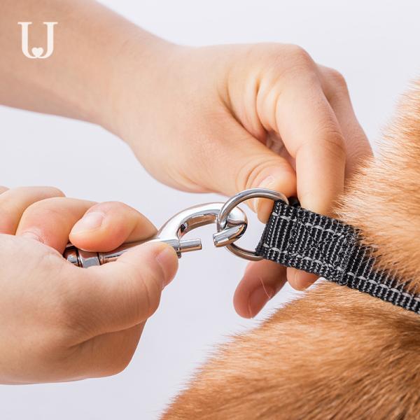 5M Long Extendable Dog Leash Traction Dorsal Automatic Retractable Dog Leash