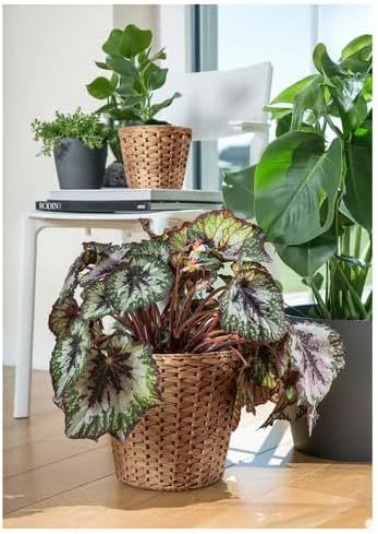 Water Hyacinth Wicker Planter Basket, Small Round Woven Basket For Plants With Metal Pot, Indoor Wicker Plant Pot Eco-Friendly Water Hyacinth Woven Plant Pot – Round Basket with Inner Saucer, Deco