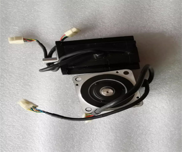 Standard Shaft End High Torque DC Servo Motor with Reduction Gear