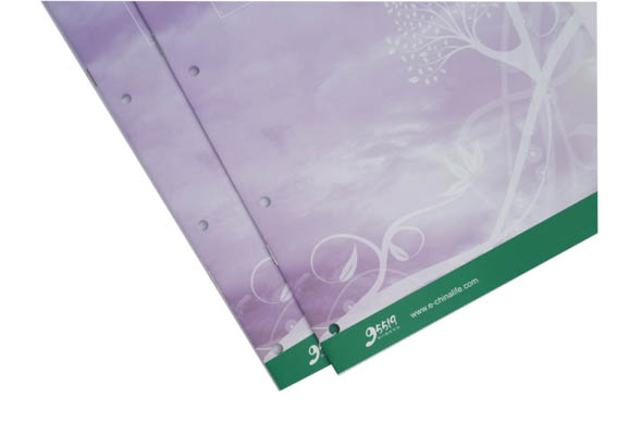 Custom Softcover description folded catalogue Color Booklet Printing for advertising