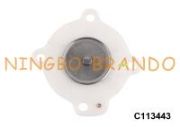 Reparo Kit For ASCO SCG353A043 3/4