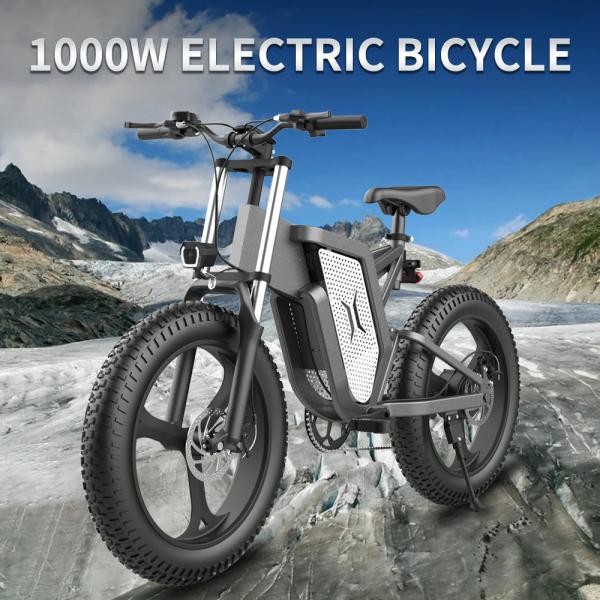 48v 500watt Electric City Bikes Full Suspension Lithium Battery Powered