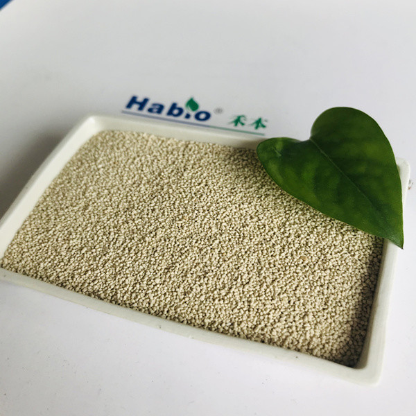 Habio Lipase granule Enzyme feed grade 20,000u for livestock Animals Synergistic Effect on the Endogenous Lipase