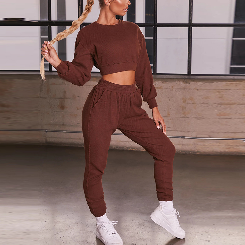 250gsm пошутило над наборами урожая рукава установленного круглого Neckline 2 частей длинными верхними и Cuffed Joggers