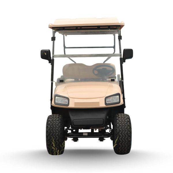Chinese Luxury Small Mini Golf Cart Club 4+2 Seater Electric Golf Buggy Car Vehicle Cart for Hotel