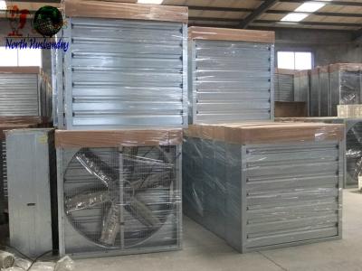 North&Husbandry-Poultry fan,Ventilation fan,Exhaust fan-50''/36''Box Fan-box fan