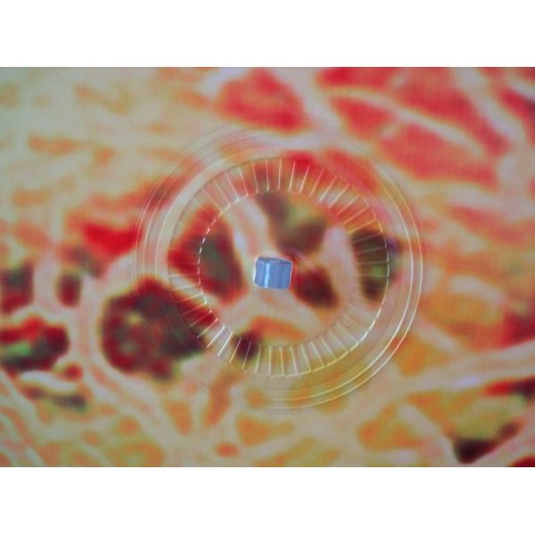 плода персика 2м воздушные шары высокого форменные для УЛ КЭ дня рождения партии детей