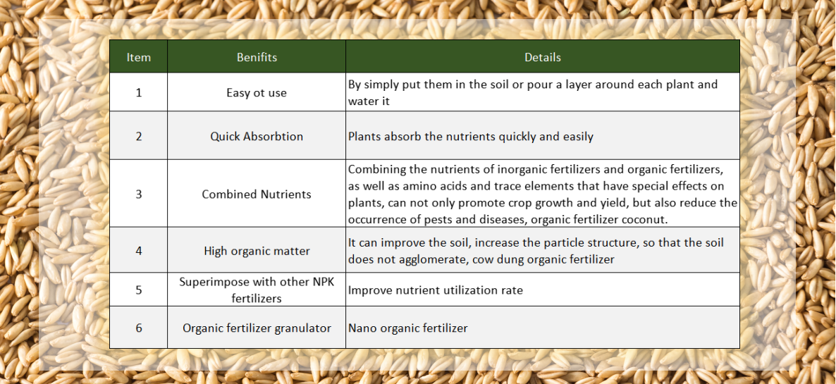 NPK 10-10-10 Balanced Type Organic Granular Fertilizer For Plants