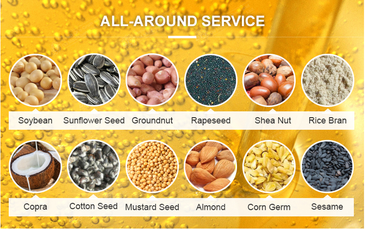 Машина 13.5кг масла мустарда машины прессы гидравлического масла сезама/емкость серии