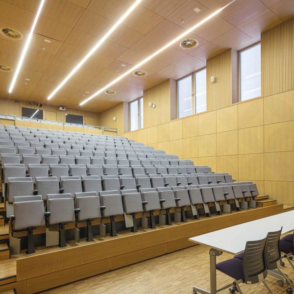 Перфорированные деревянные акустические стеновые панели, декоративные звукозащитные деревянные панели CE FSC