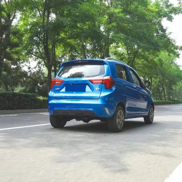 Raysince 5 doors 4 seats Electric car Wholesale cheap price china electric cars for sale