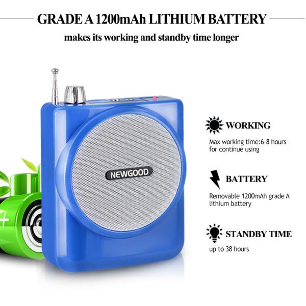 2.4G Digital Voice Amplifier with Recorder FM Radio MP3 Playing,Wired Microphone Headset Waistband and Belt