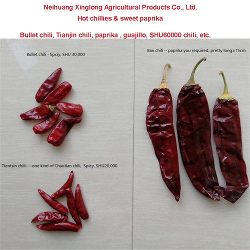 Высушенная зерном трава Chili Guajillo одиночная обезводила пряную красную паприку