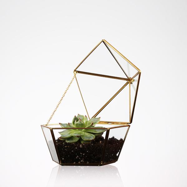 Pentagon Shaped Jewelry Glass Display Case Air Plant Terrarium Planter