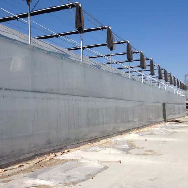 Теплица LiTai Многопролетная пленка Сельское хозяйство Теплица с строительством из стали