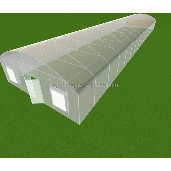 IGreen Green House Metal Frame Greenhouse for Desert Rose Middle East Greenhouse