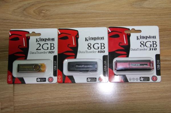 O flash marcado de USB conduz DT100