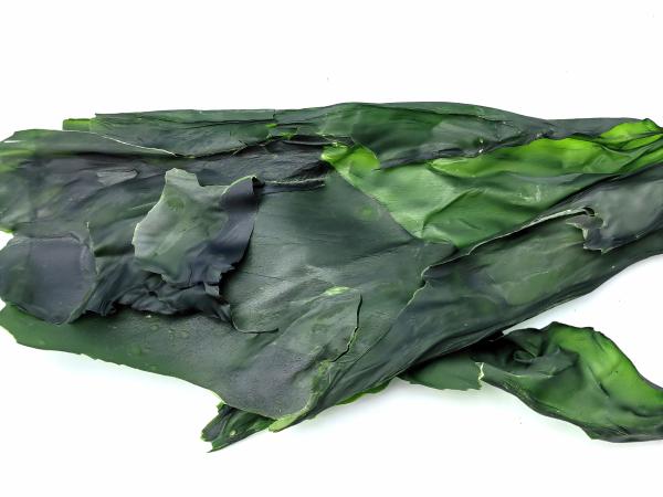 Natural Sun Dried Dashi Kombu Seaweed Salad Fried Kelp Sea Vegetable For Japanese Korean Soup