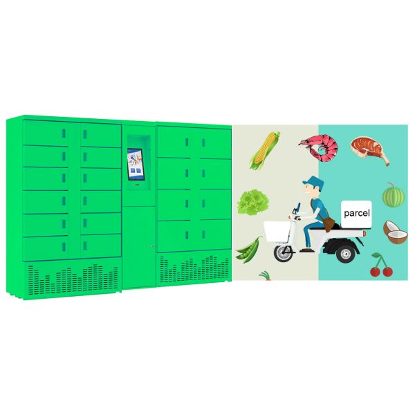 Ultramarinos casero automatizado del armario del paquete para Qatar la Arabia Saudita UAE