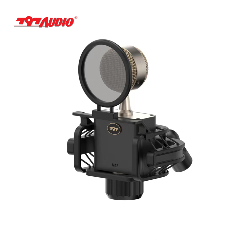797Audio CR632 Professional 3-Pin XLR Studio Condenser Microphone Light-Weight Customized Recording Mic with Best Price
