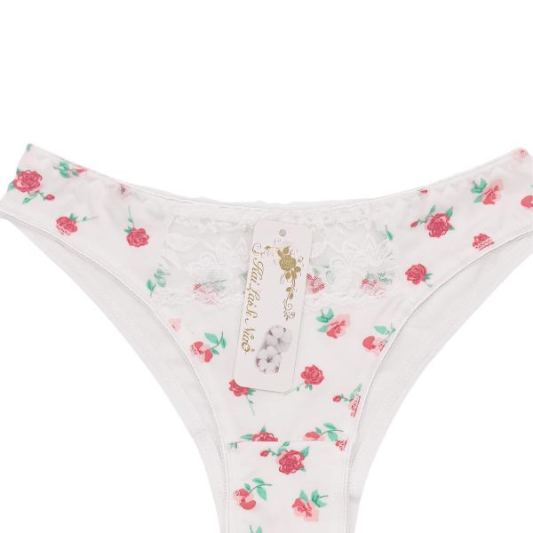 New Arrival Ladies Hipster High Quality Wholesale Small Size for Slim Women New Design 12PCS/PACK Wholesale Underpants Women