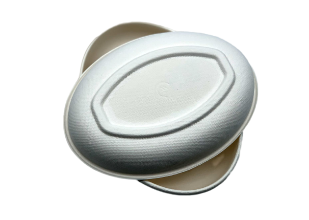 Oval 262.5x197x20.1mm Biodegradable Sugarcane Bagasse Plates