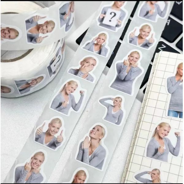 Waterproof Round Self Adhesive Sticker Roll Vinyl Circle Label Sticker