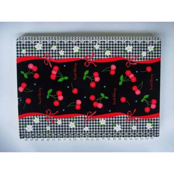 traveler's notebook sketch notebook