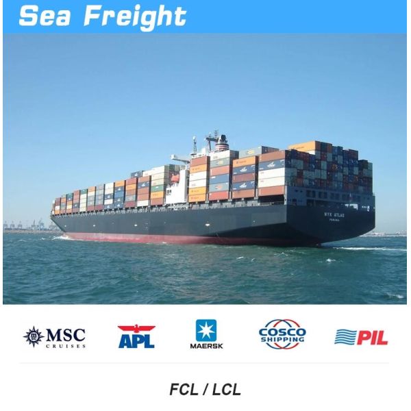 LCL Global Sea Ocean Freight Forwarding Companies To USA Mexico Canada Spain UK