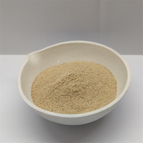 Additif pour l'alimentation animale à base de protéine de zinc à 10% en poudre minérale chélatée
