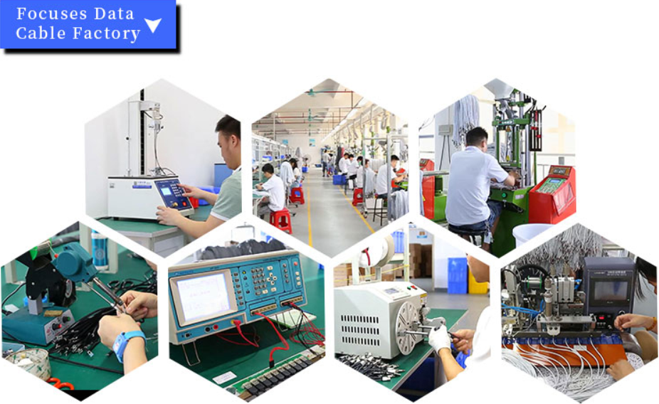 Dongguan Dasheng Electronic Co., Ltd.