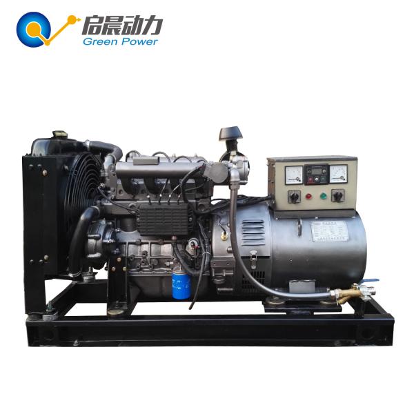 250KW High Performance Biogas Generator Open / Soundproof Type