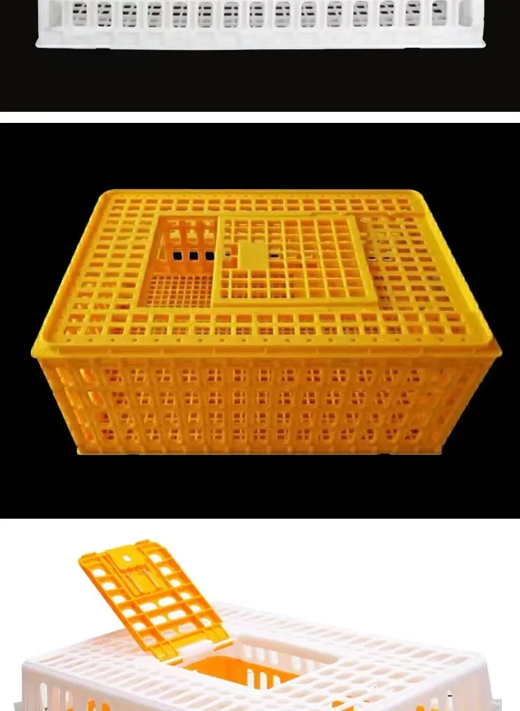 Broiler Chicken Transport Boxes High Ventilation Chicken Carrier Crate For Secure Shipping