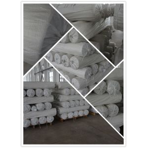 Quanzhou Winiw Import And Export Co., Ltd. Certifications