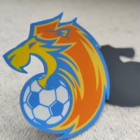 Logo de football en fer sur mesure en 3D Tatami avec le logo de soutien Tatami Étiquette de vêtement en relief