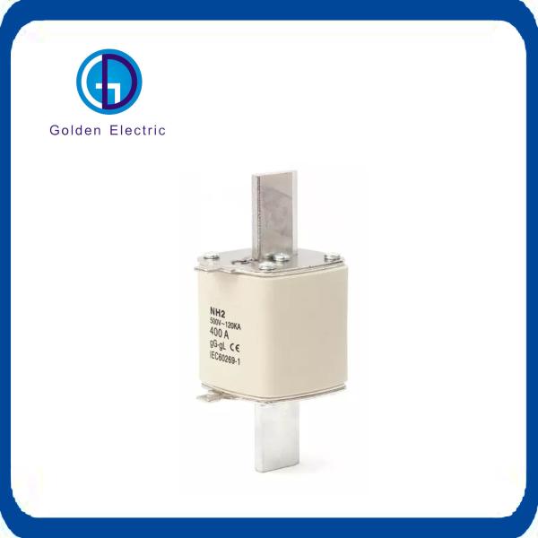 Nh00-Nh4 Gg 500V-120ka TUV CE CB RoHS Dual Indicator Fuse Link and Nt00 Double Indicator SMC