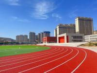 Resistência a intempéries EPDM borracha pista de corrida pisos desportivos 13 mm espessura