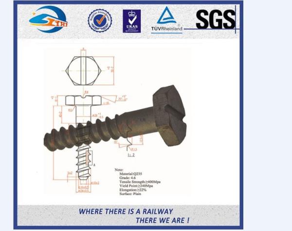 Q235 35# 45# DHS 35 Railroad / Railway Sleeper Screws , Tensile strength ≥800Mpa