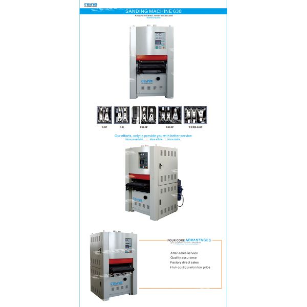 Double Sander Sanding Machine R-RP630 Support Customization for Smooth Woodworking