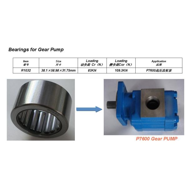 Steel Cage Double Row R1032 Needle Roller Bearings