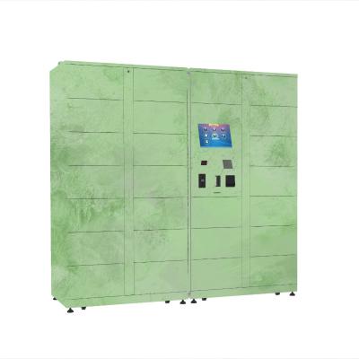 Cacifos exteriores congelados refrigerados vegetal dos bens das flores do cacifo de Winnsen