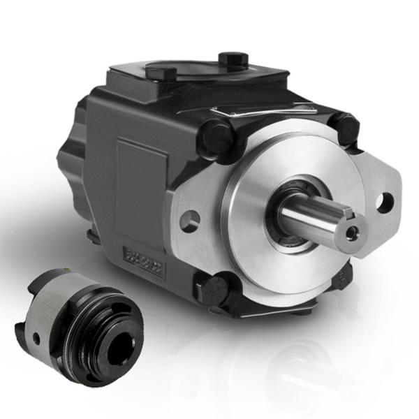 T6C T6D T6E Pump Spare Parts , Denison Hydraulic Pump Replacement Parts