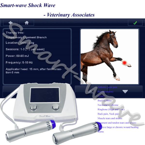 Máquina equino médica veterinária da inquietação para Tendinopathy patelar