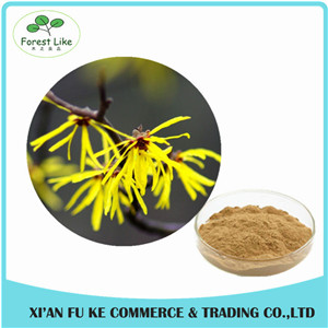 Water Soluble Witch Hazel P.E./Herbal Hamamelis Virginiana Extract for Cosmetic