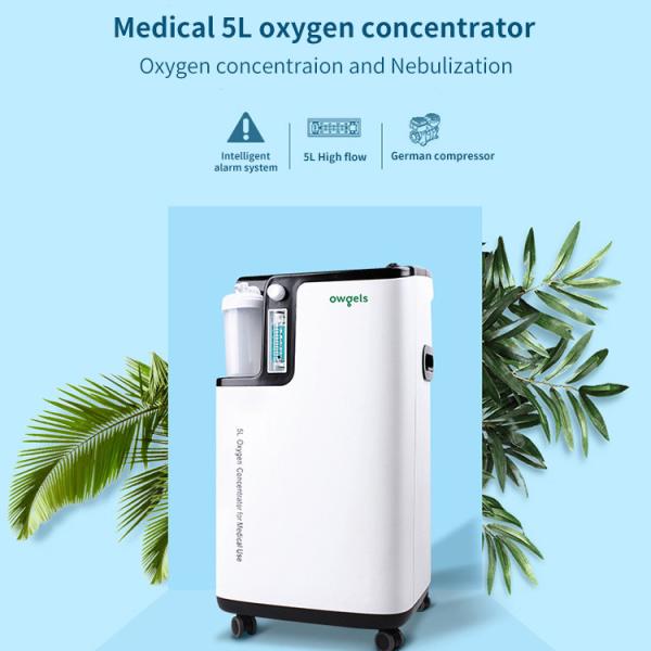 Low Noise Owgels 5L Oxygen Concentrator 96% High Purity Medical Grade