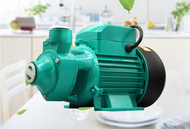 Периферийная гидравлическая водяная помпа 220V погружающийся 50Hz электрическая